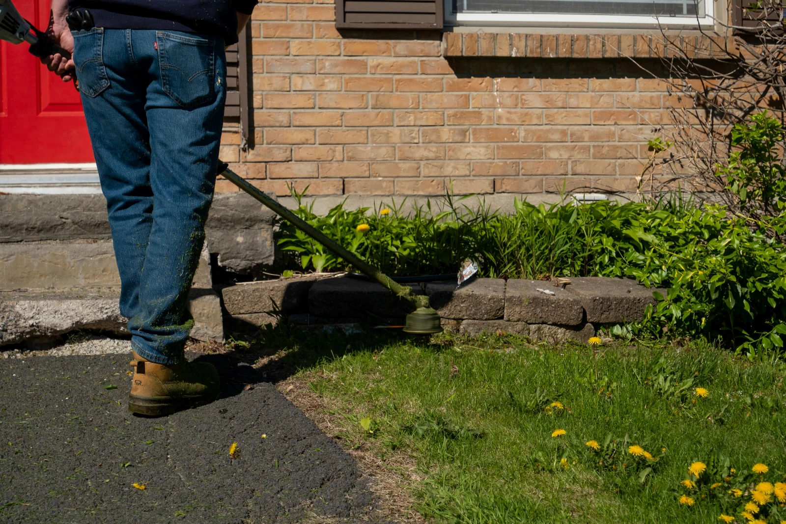 Close up of string trimmer equipment